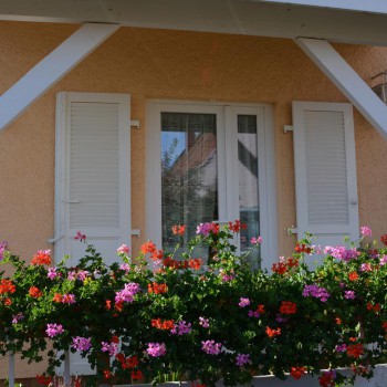 Petite menuiserie d&#8217;extérieur Wittenheim 6