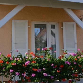 Petite menuiserie d&#8217;extérieur Wittenheim 6